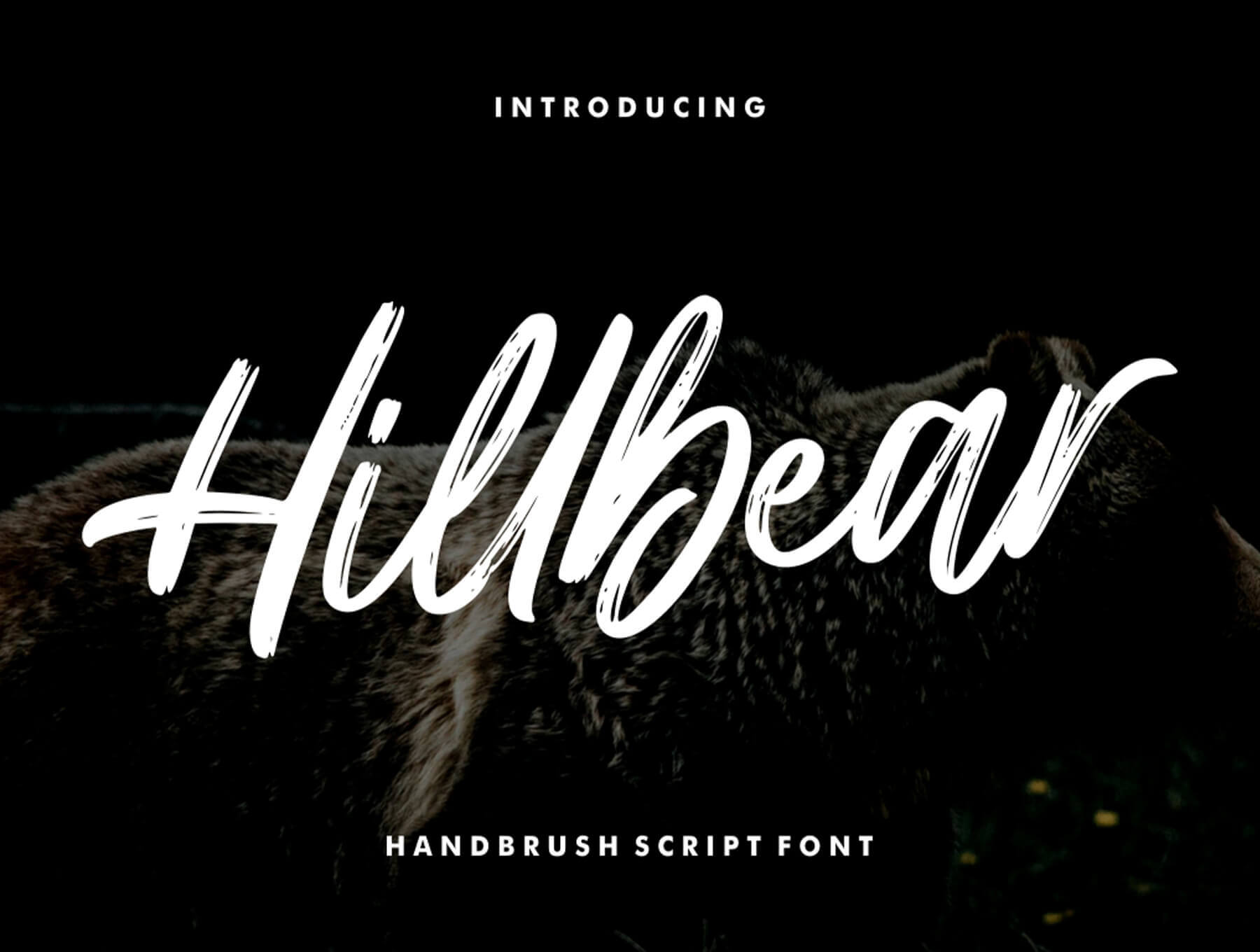 手写体英文字体模板素材Hillbear – Handbrush Script Font插图