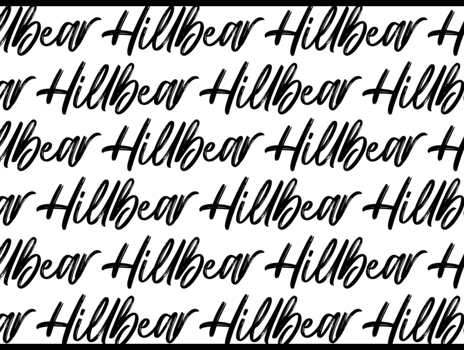 手写体英文字体模板素材Hillbear – Handbrush Script Font插图5