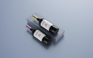 精致红酒酒瓶模型样机模版素材Wine Bottle Mockup 02  NR423MS