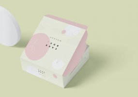 企业产品礼品盒大方蛋糕纸箱模型样机素材下载TQWV73E