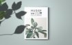 绿植杂志素材模板素材展示Hugge Magazine Template