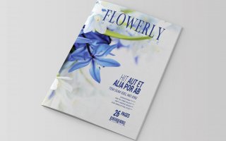 花卉植物类画册模板素材下载InDesign Magazine Template