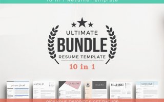 多款极简简历模板合集10 in 1 Resume Templates Bundle
