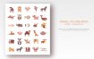 动物系列扁平化图标源文件下载Animals Fish and Birds set of flat vector icons